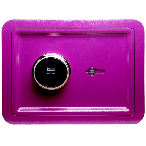 지문인식 금고 가정용 인테리어 수납 보관 지문